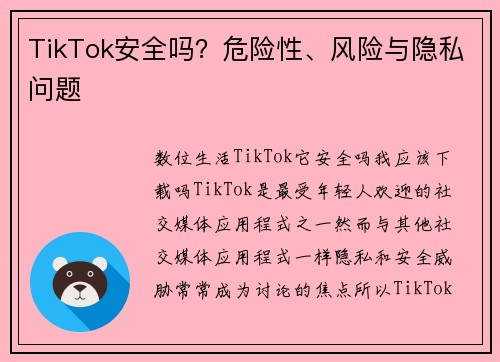 TikTok安全吗？危险性、风险与隐私问题